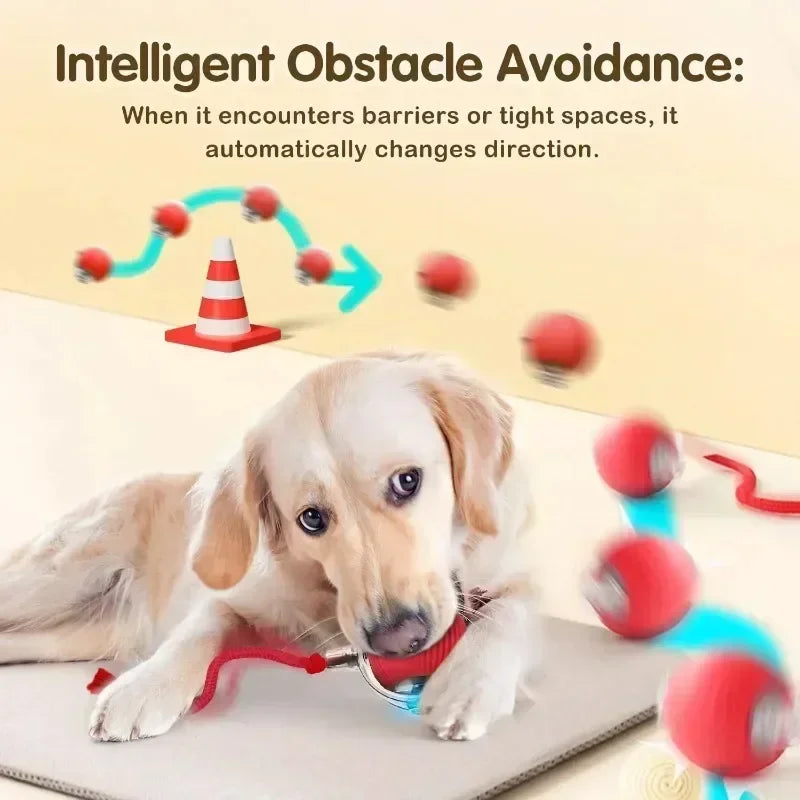 Smart Ball for Pets - 2025 Upgrade