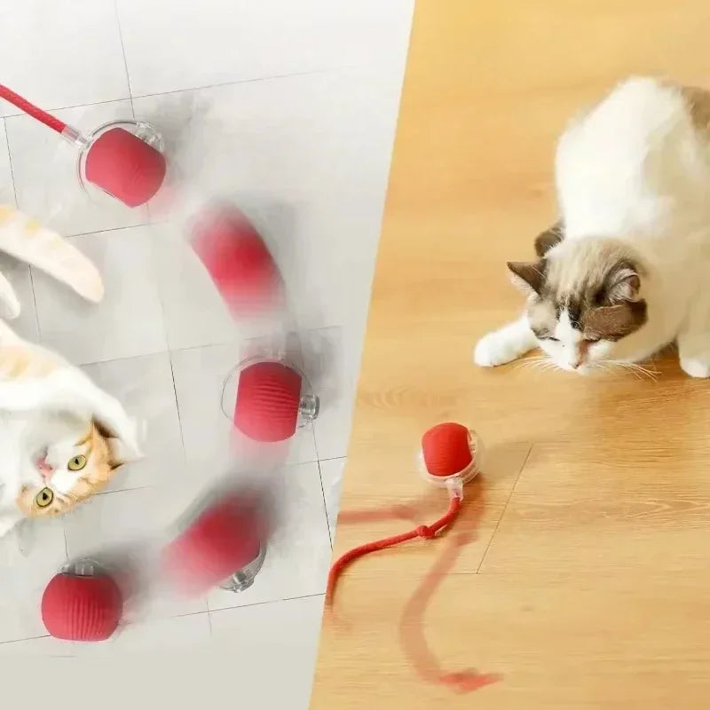 Smart Ball for Pets - 2025 Upgrade