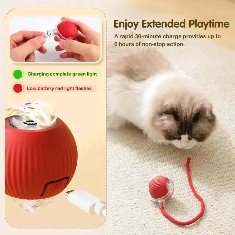 Smart Ball for Pets - 2025 Upgrade