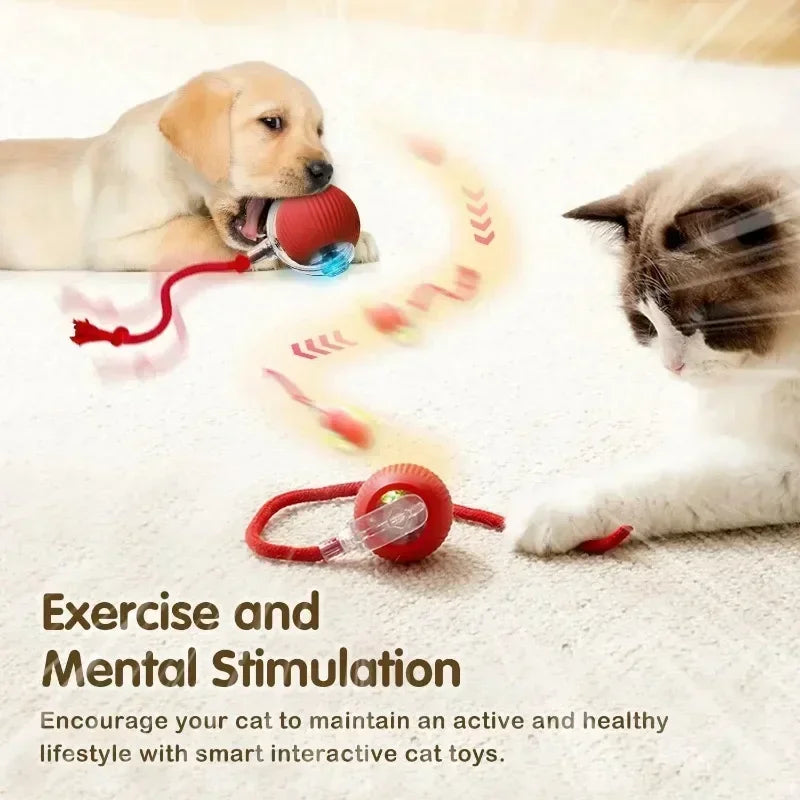 Smart Ball for Pets - 2025 Upgrade